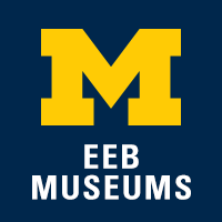 Museum of Zoology Michigan