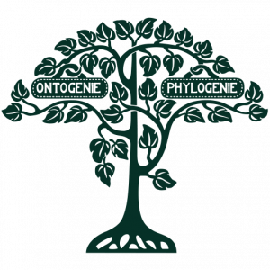 Phyletisches Museum Jena