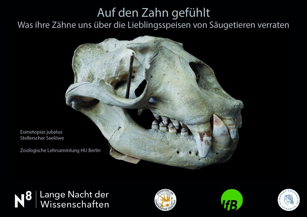 LNdW_2024_Auf den Zahn gefühlt