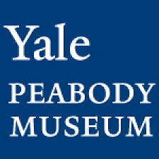 Yale Peabody Museum