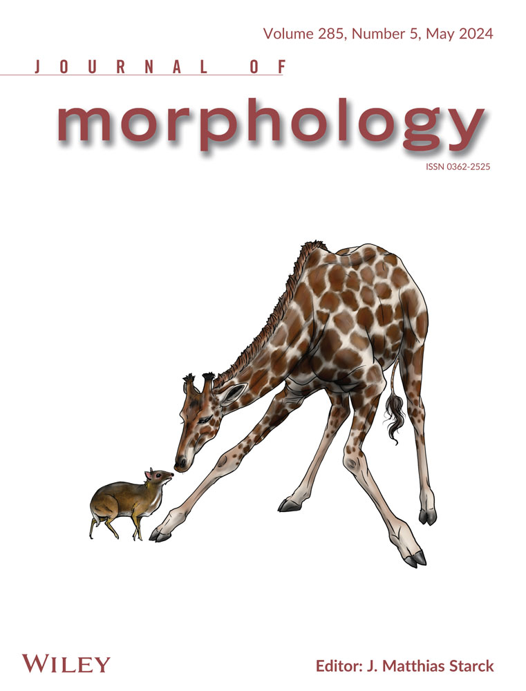 Journal of morphology Volume 285 Issue 5